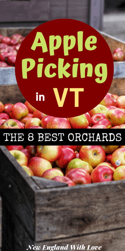 A large crate of apples with a Pinterest graphic reading Apple Picking in Vermont The 8 Best Orchards
