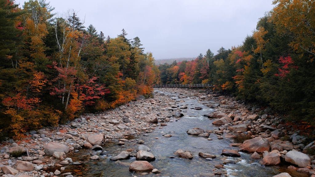 A river filled with rocks with fall trees on both sides