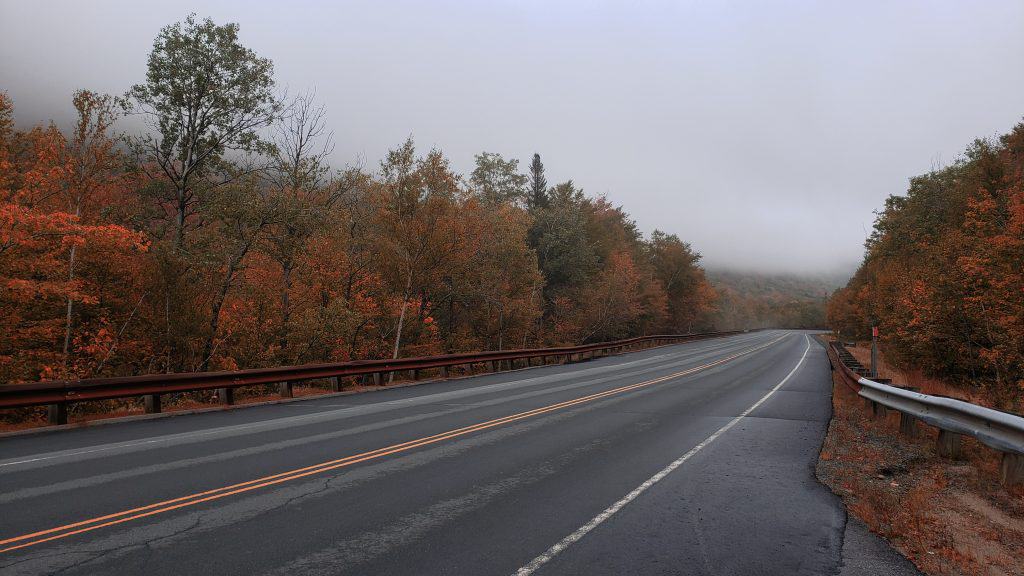 A road is seen under gray skies with autumn trees on either side