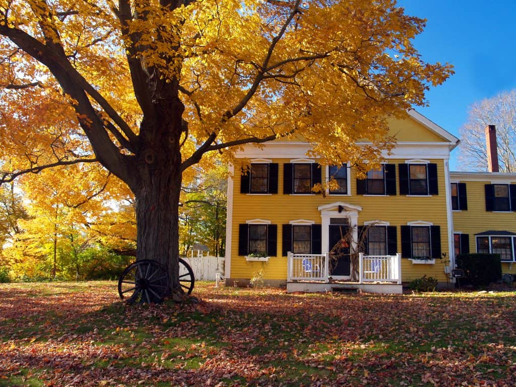 A tree with fall leaves next to a yellow two-story house