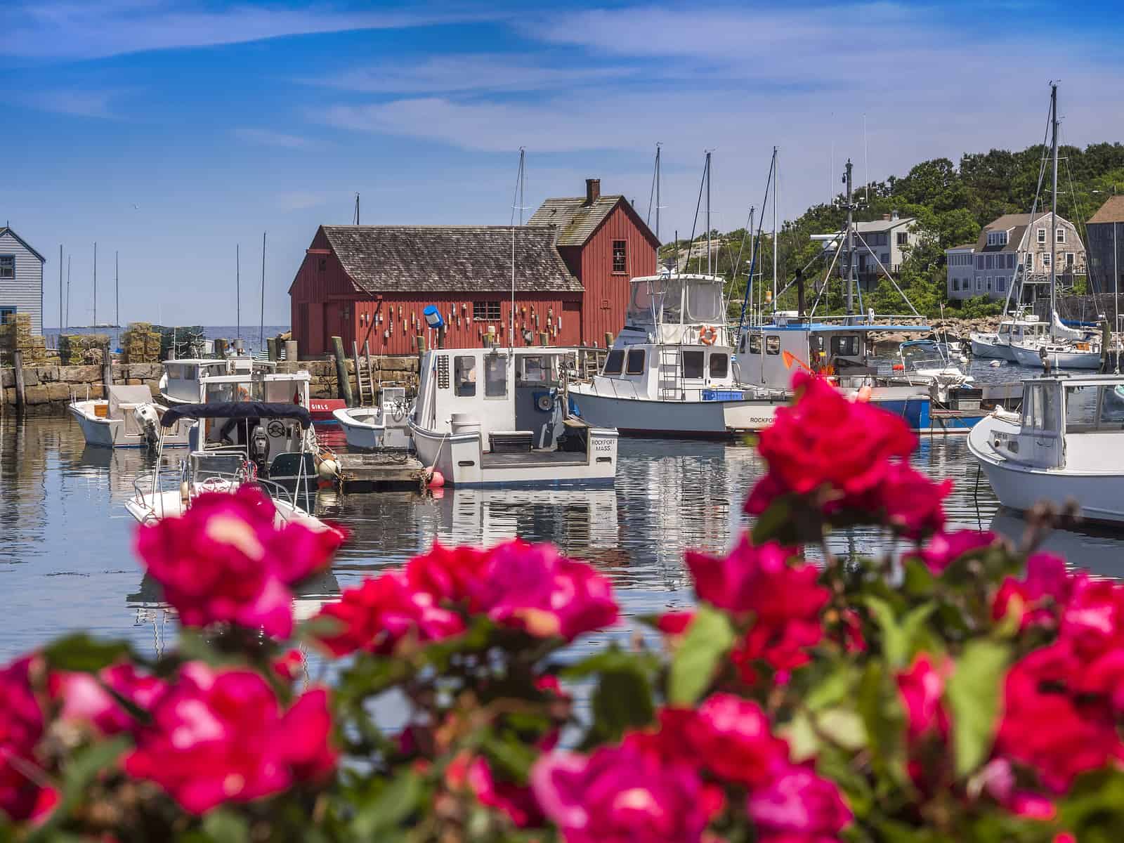 A closeup of pink flowers looking toward a body of water with boats docked next to a red brick building at a vacation destination in New England