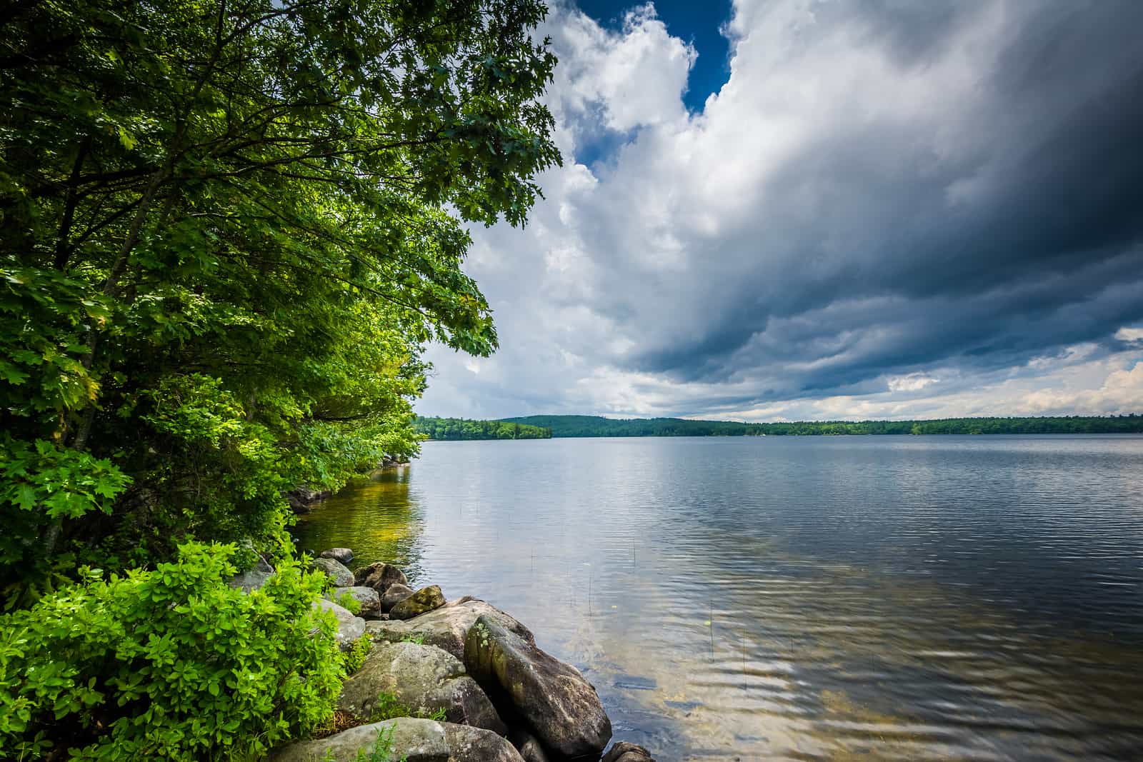 Green trees on the left with a body of water on the right and puffy white clouds in the sky in New England.