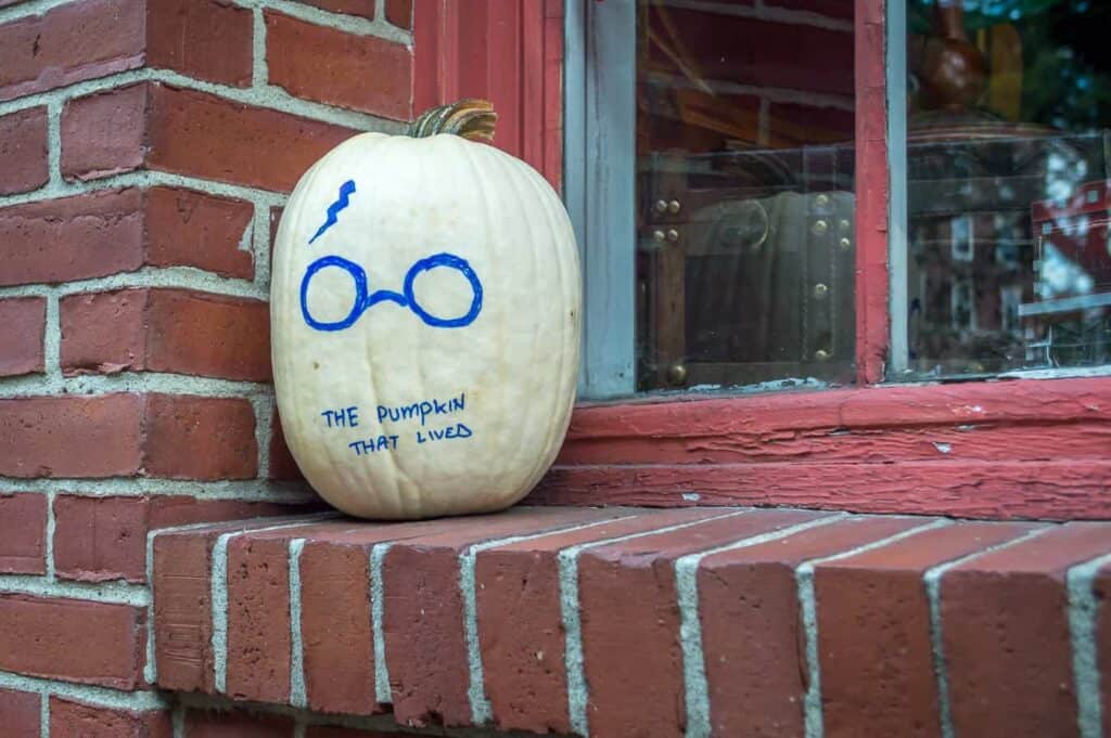 A white pumpkin decorated with glasses and a lightning scar. it reads 