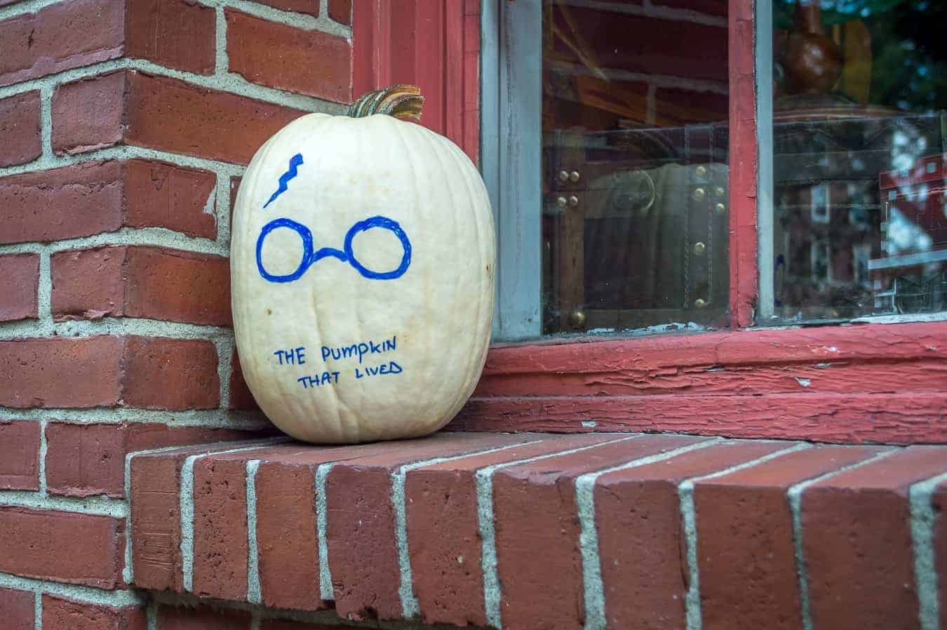 A white pumpkin decorated with glasses and a lightning scar. it reads 