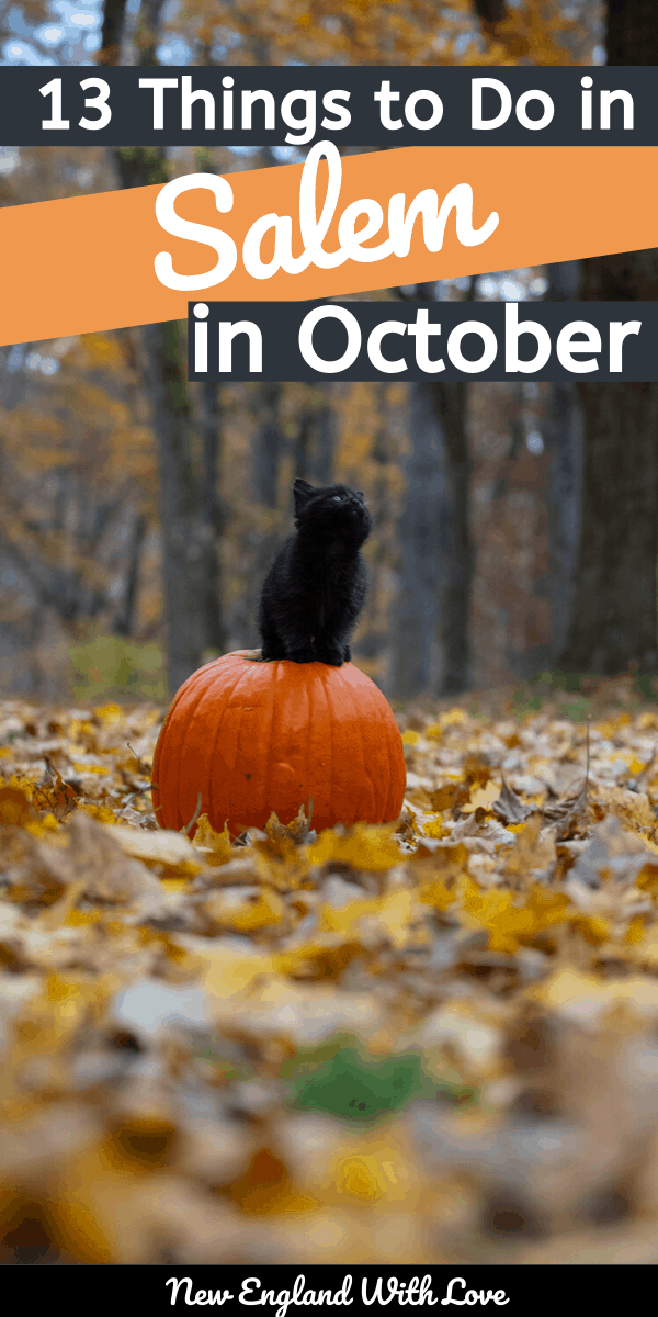 Black cat sitting on a pumpkin with fall leaves on the ground all around