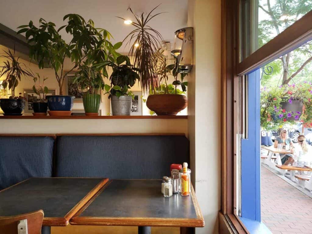 Interior of a restaurant. An empty booth is pictured with plants behind it.