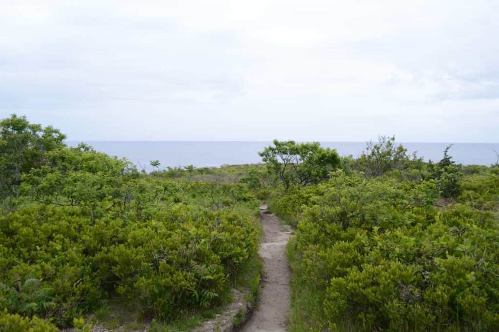A path through fields going toward the ocean