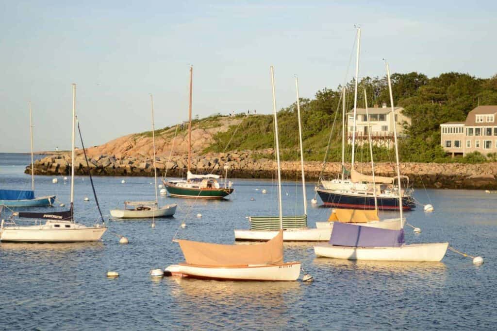 A fleet of boats in a harbor