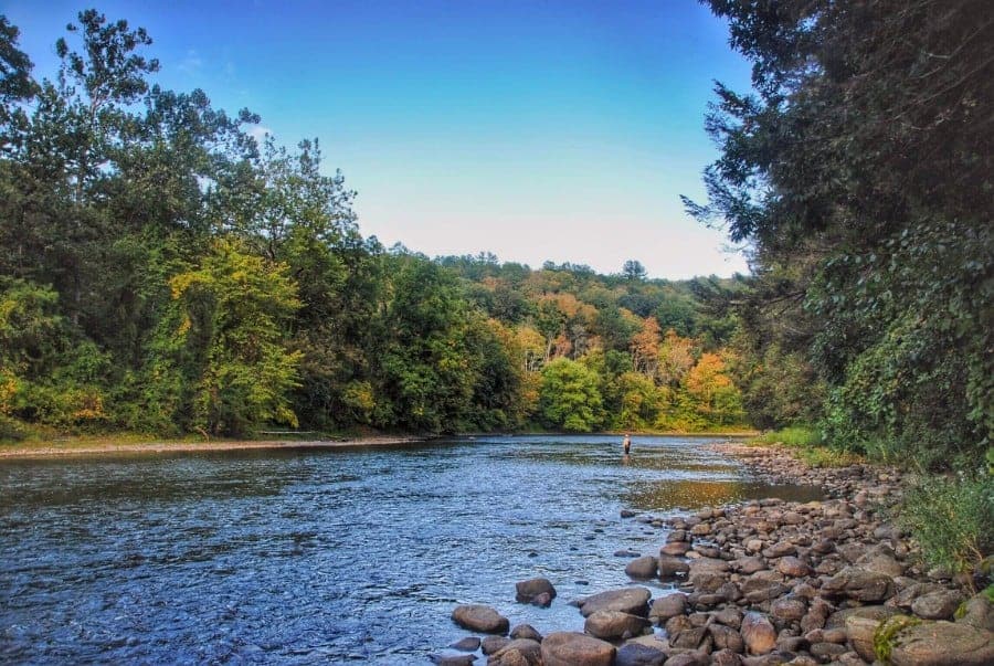 Serene river with lots of rocks. A forest surrounds the river, with pops of fall foliage.