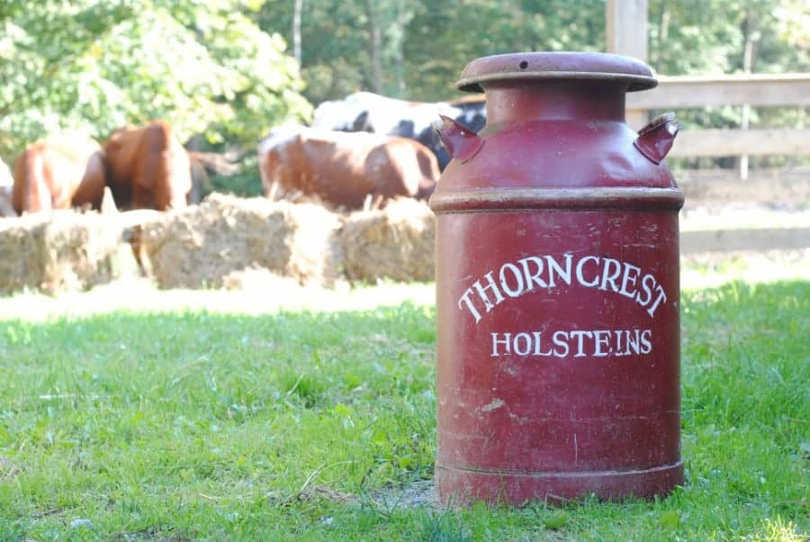 Red barrel that says, \"Thorncrest Holsteins,\" with cows in the background blurred out in Litchfield Hills, Connecticut.