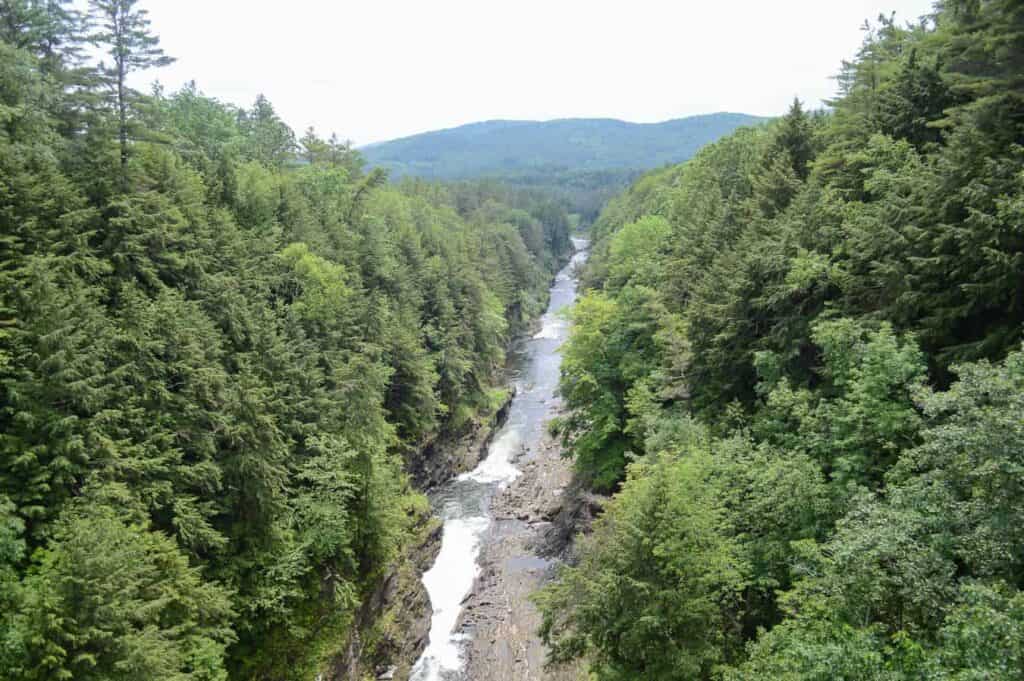 A gorge surrounded by green trees and mountains in the distance