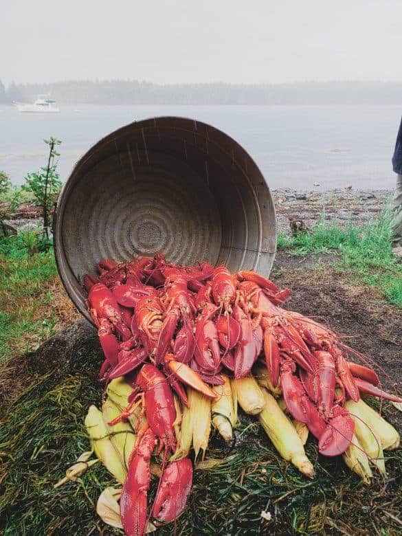 Closeup of a bucket of lobster