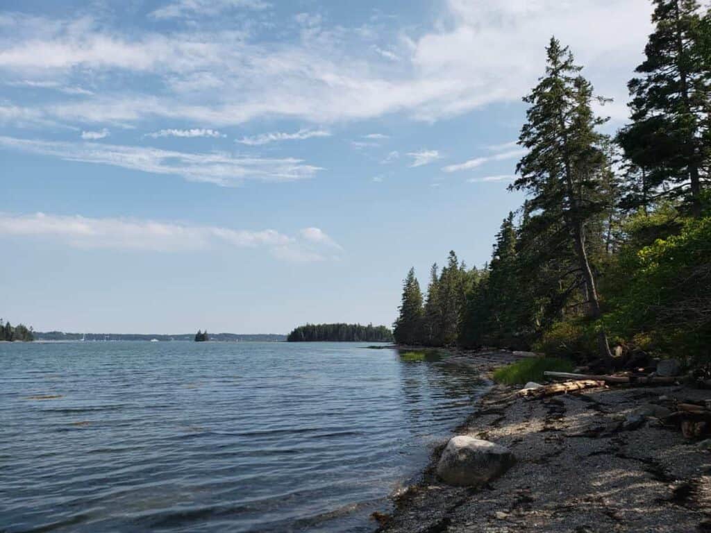 Blue lake by the rocky shore with trees.