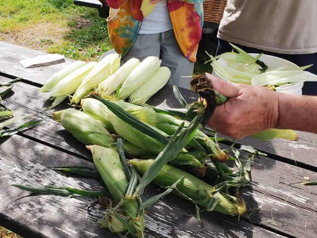 Person shucking corn on a wooden table.