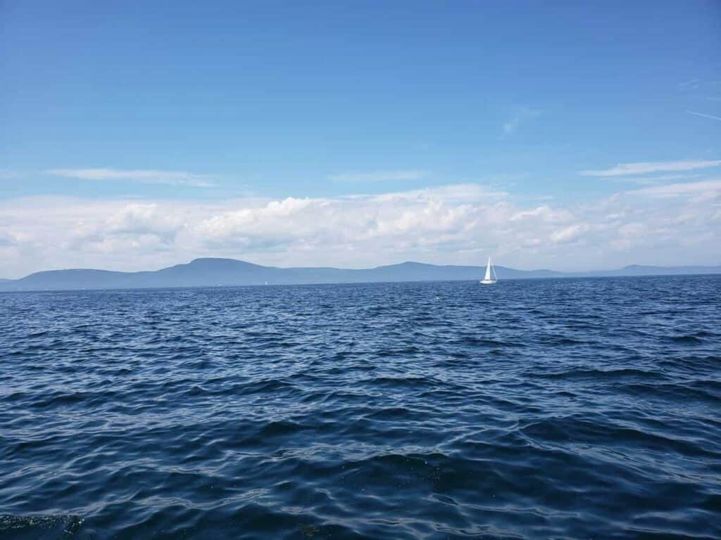 Large body of water under a blue sky with a white boat floating on it in the distance.