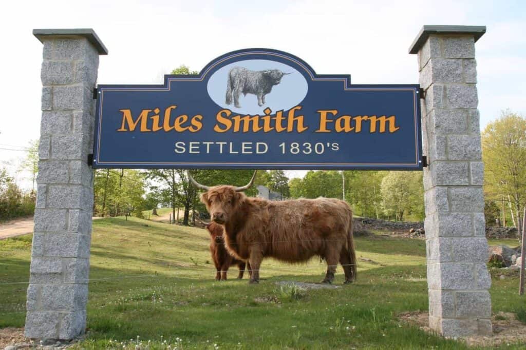 A sign reading \"Miles Smith Farm Settled 1830s\" with a large bison underneath the sign at a unique New England Airbnb