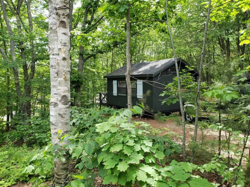 Black small home nestled in a bright green forest.