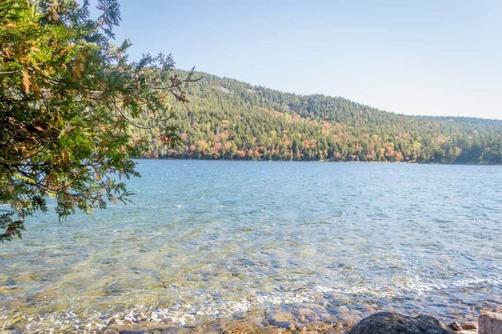 Body of water under a blue sky with a forest in the distance on Mount Desert Island.