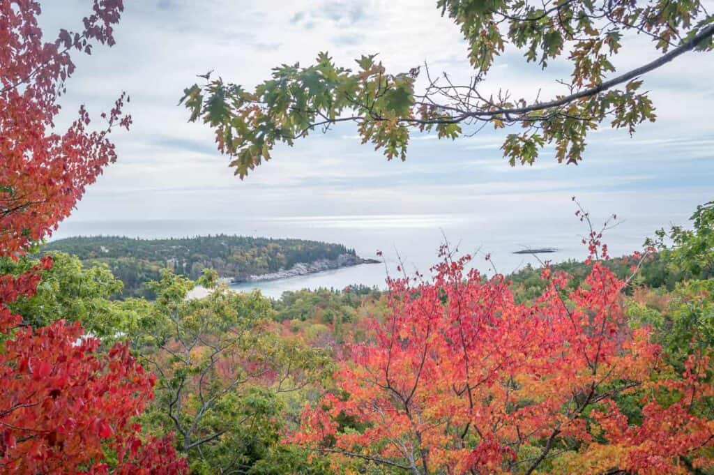 Landscape view of the coast in the distance under a blue sky. The foreground features bright forests with fall folilage.