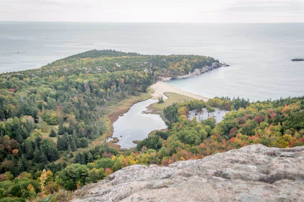 Aerial view of the coastline filled with plush fall forests.