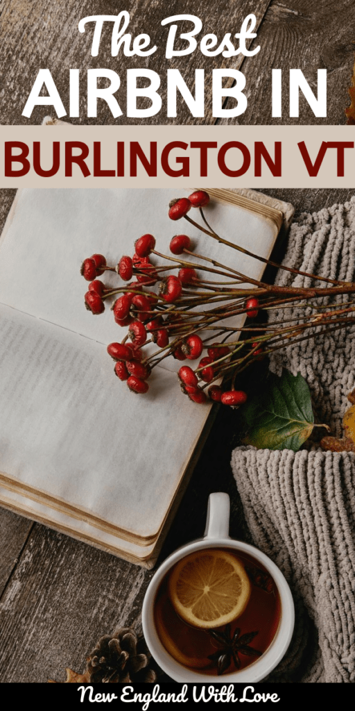 A journal with blank pages is open on a table with berries laying on top of it.