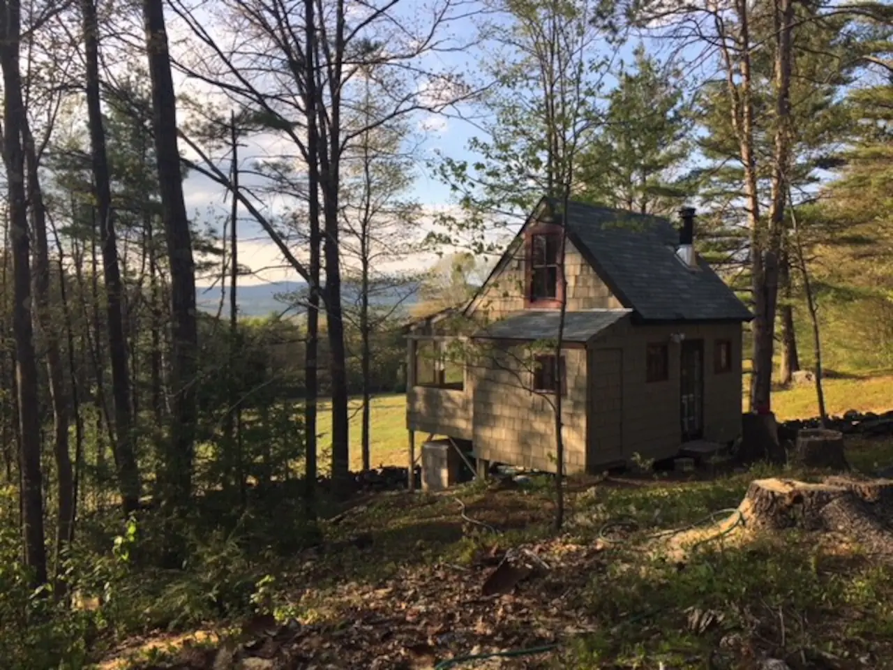 A cabin in the woods surrounded by bare trees