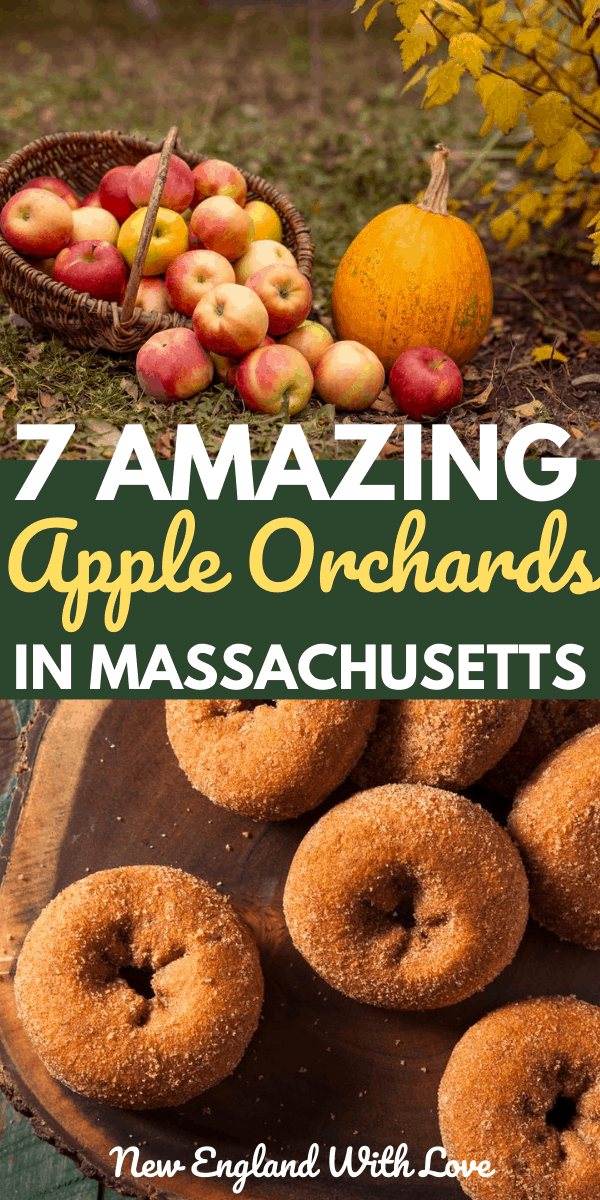 7 Great Places to Go Apple Picking in Massachusetts New England With Love