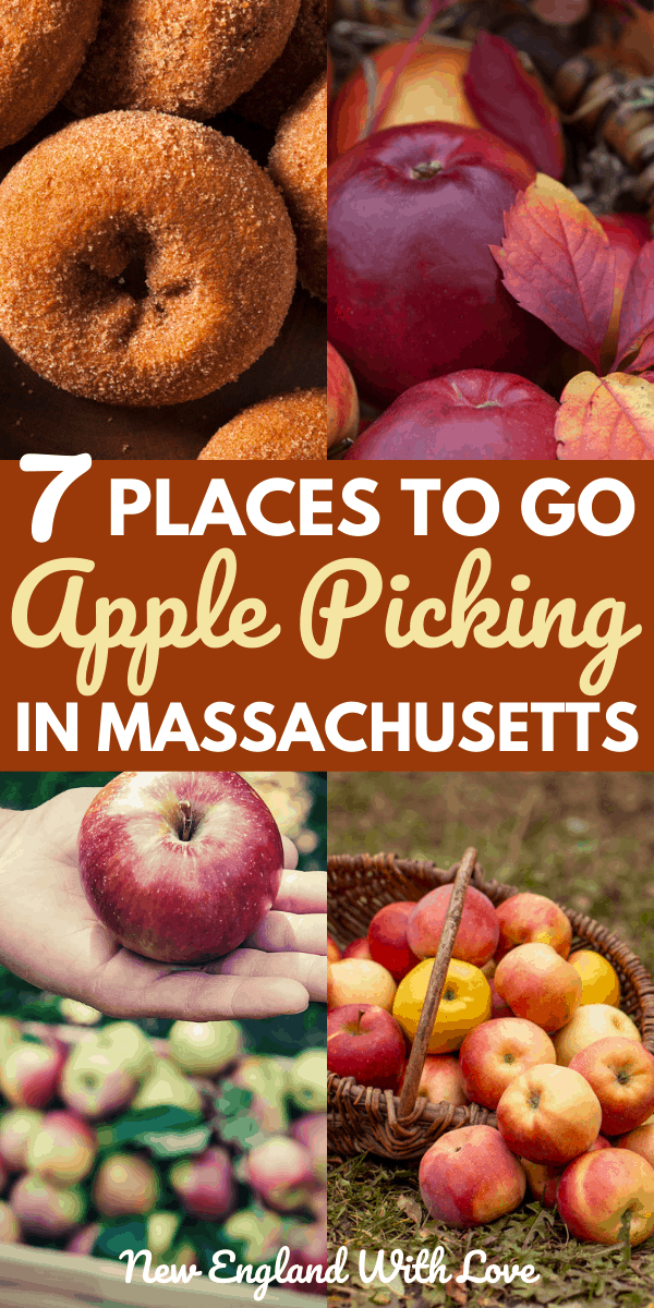 7 Great Places to Go Apple Picking in Massachusetts New England With Love
