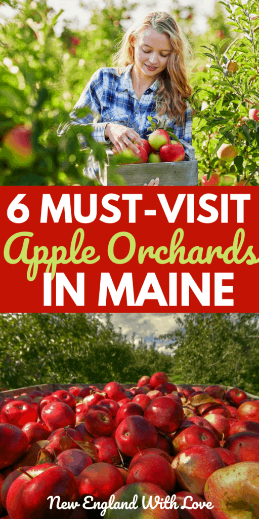 10 Lovely Orchards to Go Apple Picking in Maine New England With Love