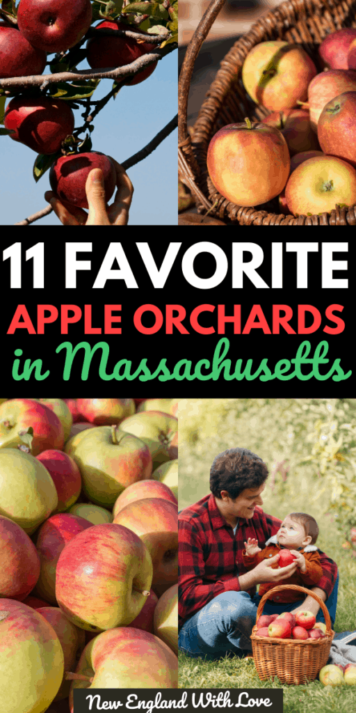 13 Great Places to Go Apple Picking in Massachusetts New England With