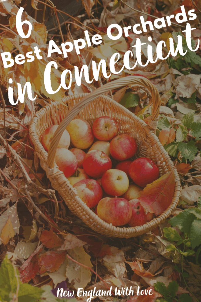 Apple Picking in CT 10 Best Connecticut Apple Orchards New England