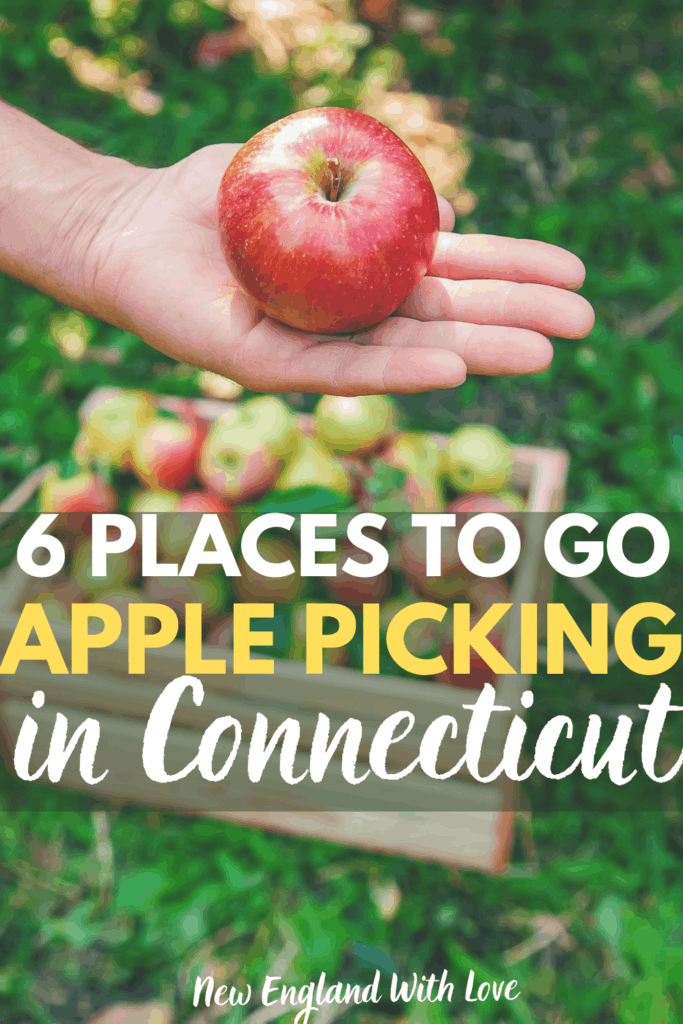 Apple Picking in CT 10 Best Connecticut Apple Orchards New England