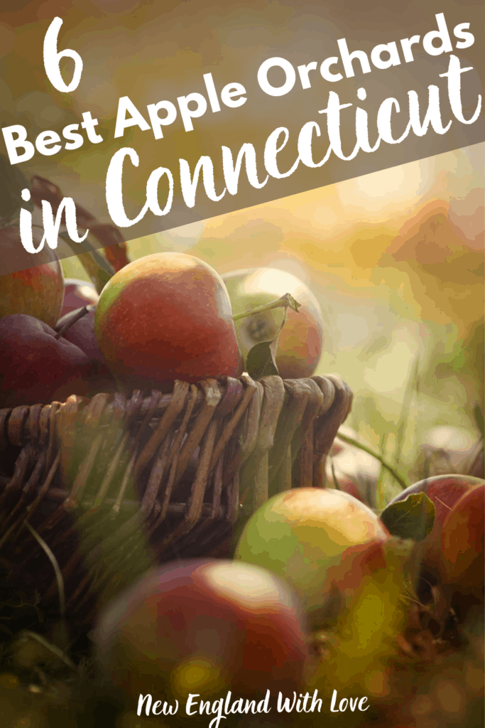 Apple Picking in CT 10 Best Connecticut Apple Orchards New England