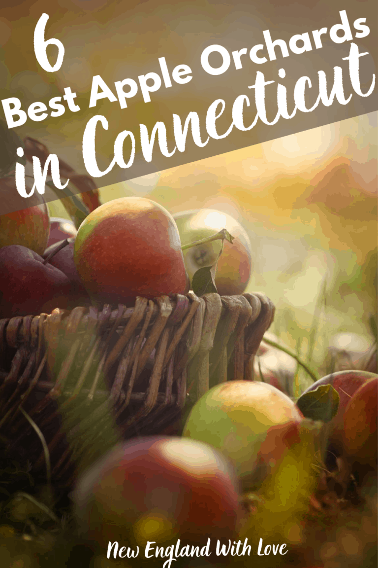 Apple Picking in CT 10 Best Connecticut Apple Orchards New England