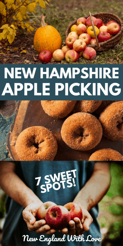 10 Amazing Spots for Apple Picking in NH New England With Love