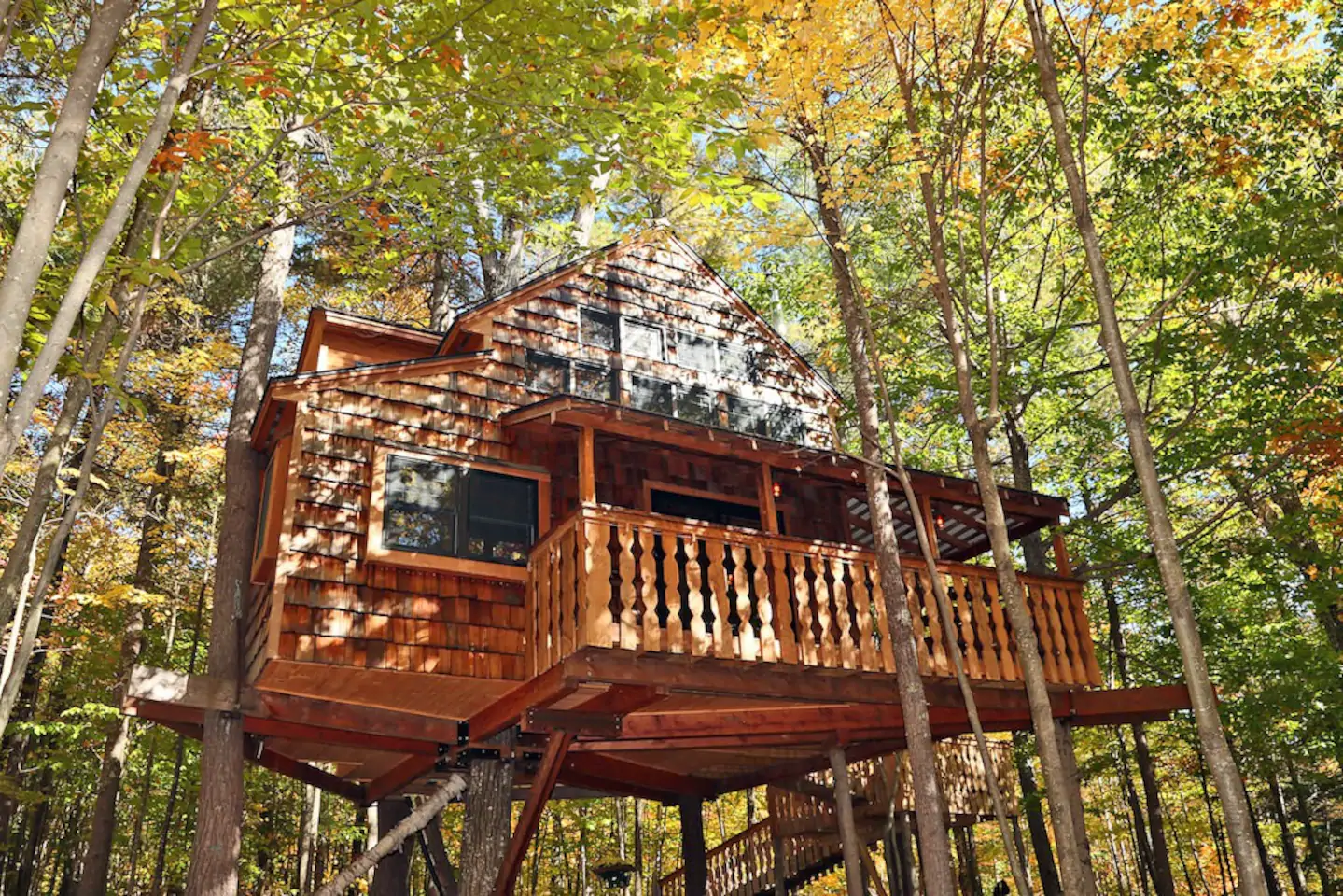 Wooden cabin on stilts surrounded by trees.