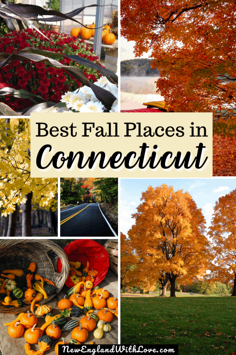 Fall in CT 13 Top Fall Foliage in Connecticut Spots for 2023 New