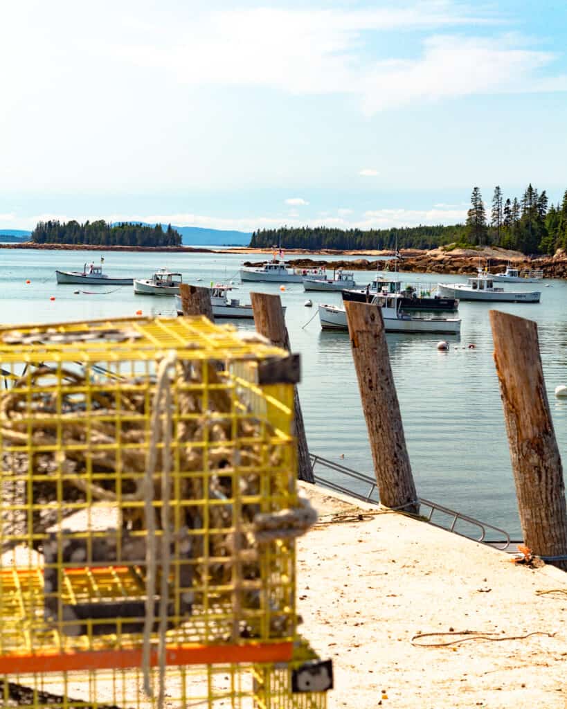 A cage full of shrimp on a dock next to a lot of boats in the water