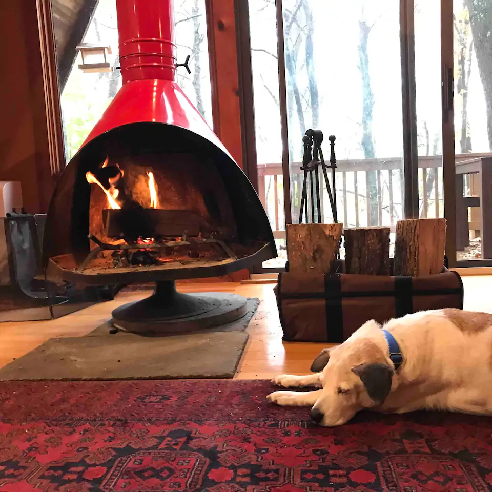 A white dog sleeping on a rug in front of a fireplace