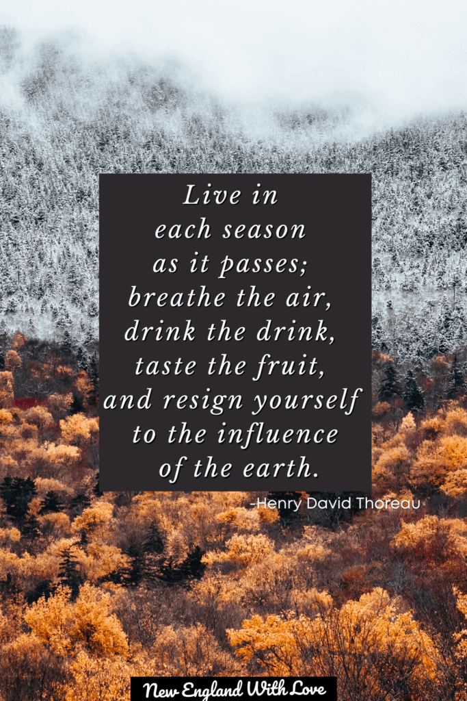 Text overlaid on an image of fall foliage that says: \"“Live in each season as it passes; breathe the air, drink the drink, taste the fruit, and resign yourself to the influence of the earth.” ― Henry David Thoreau\"