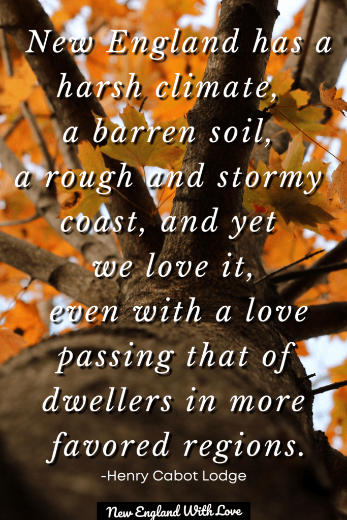 Text overlaid on a tree with orange leaves, that says: \"“New England has a harsh climate, a barren soil, a rough and stormy coast, and yet we love it, even with a love passing that of dwellers in more favored regions.” ― Henry Cabot Lodge\"