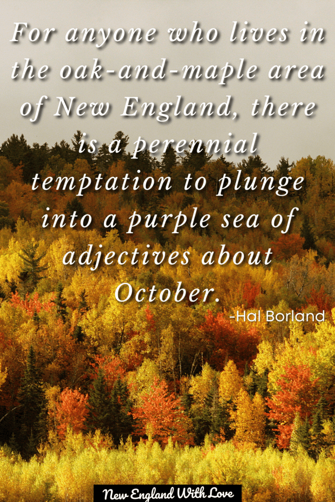 White text overlaid on a photo of trees with fall colors that say: “For anyone who lives in the oak-and-maple area of New England, there is a perennial temptation to plunge into a purple sea of adjectives about October.” — Hal Borland