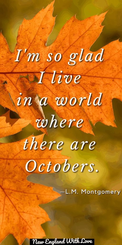 60 Magical Autumn Quotes Inspiring Sayings About Fall New England With Love