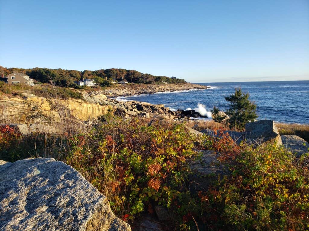 Rocky coastline with fall foliage lining the edge under a blue sky.