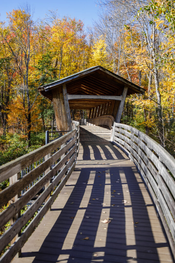 A covered bridge is surrounded by Maine fall foliage of gold and orange under a blue sky