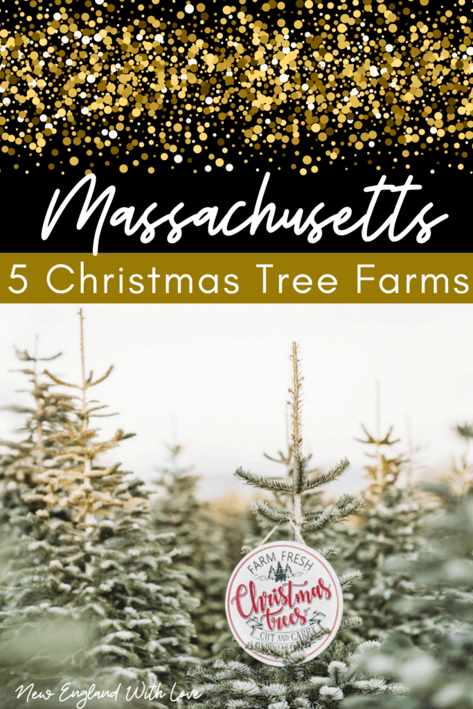 Social image created for Pinterest that says, "Massachusetts: 5 Christmas Tree Farms."