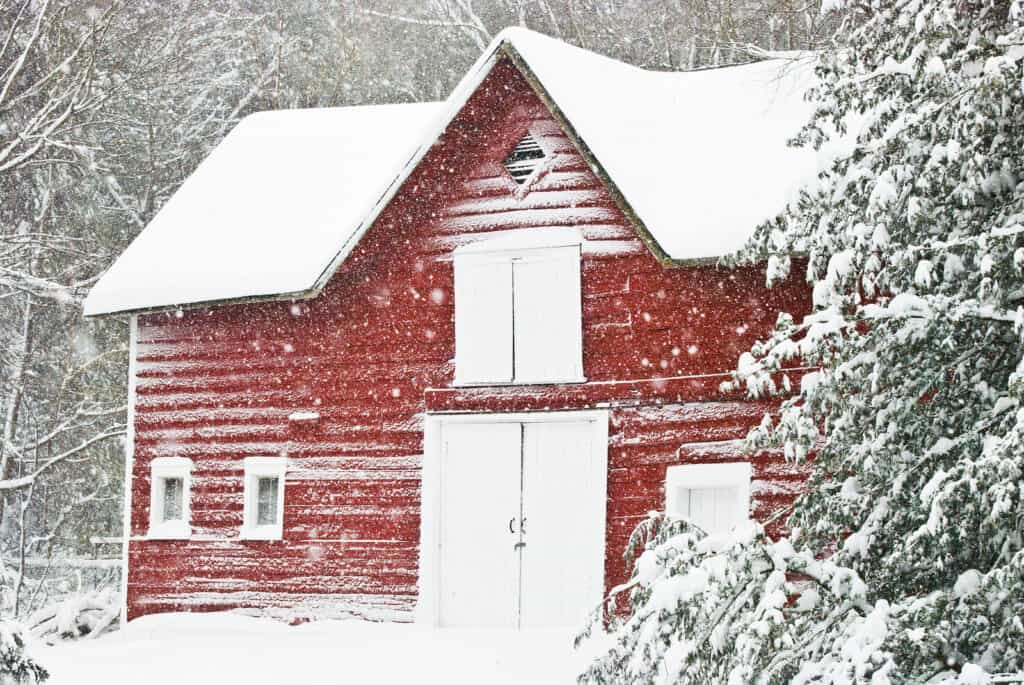 Red barn with its white doors closed in the middle of a snowstorm.