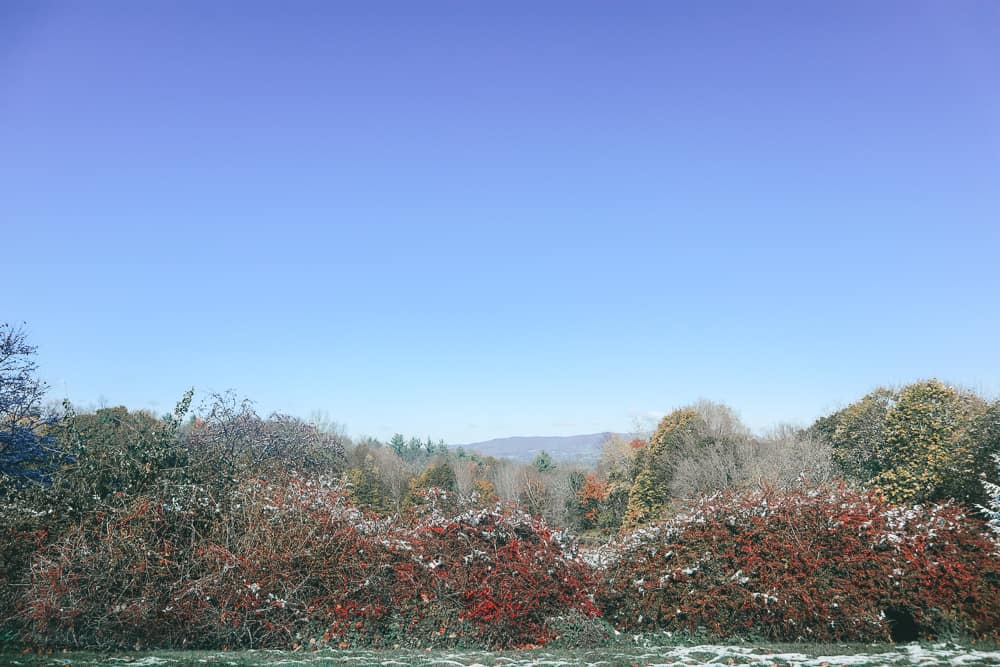 Aerial view of blue sky and trees in Bennington, Vt