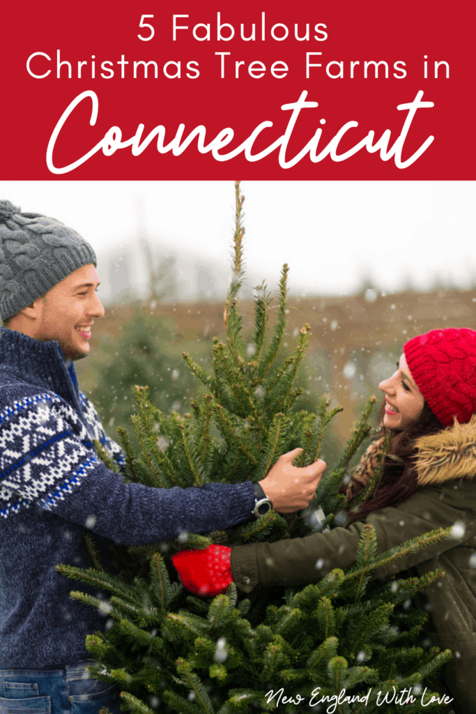 Pinterest social image that says, "5 Fabulous Christmas Tree Farms in Connecticut."