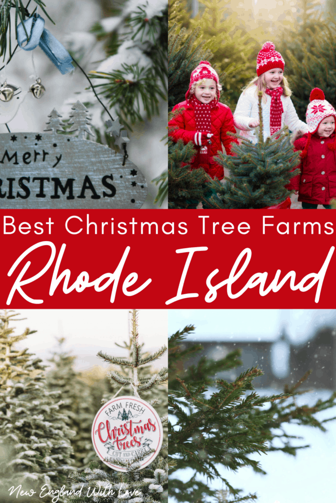 Social image created for Pinterest that says, "Best Christmas Tree Farms in Rhode Island."